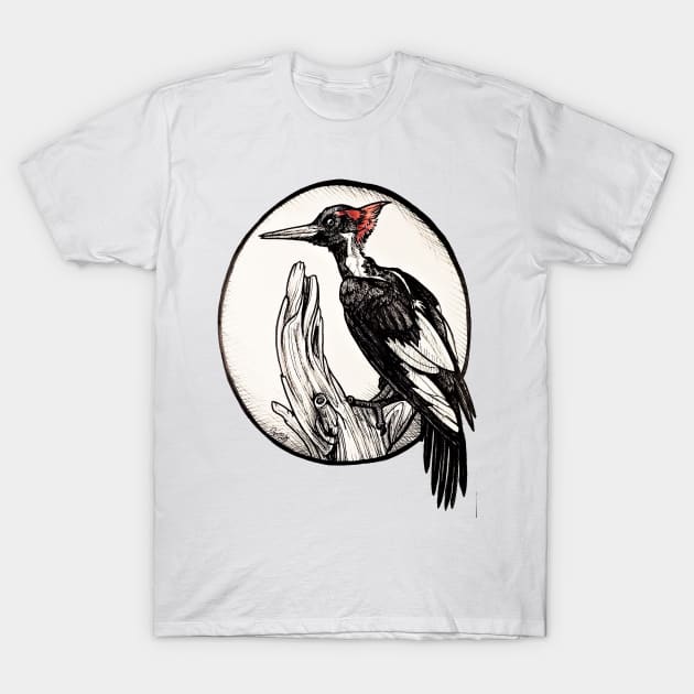 Woodpecker T-Shirt by GnarlyBones